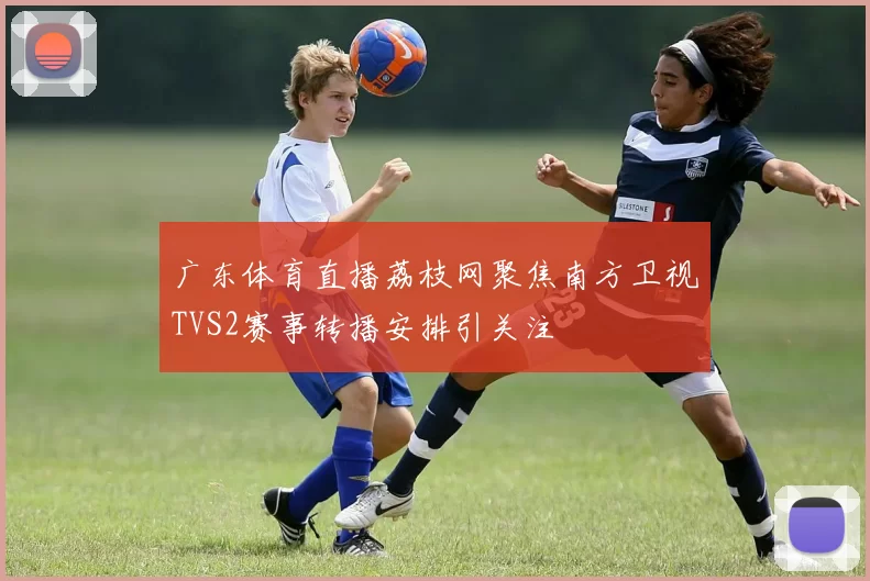 广东体育直播荔枝网聚焦南方卫视TVS2赛事转播安排引关注