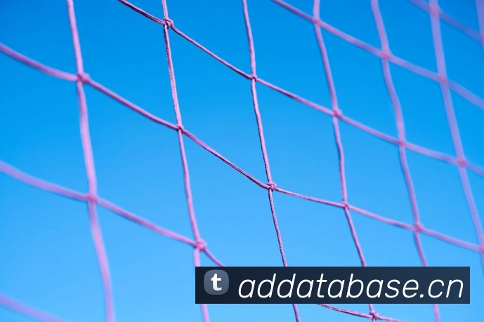 奖项2